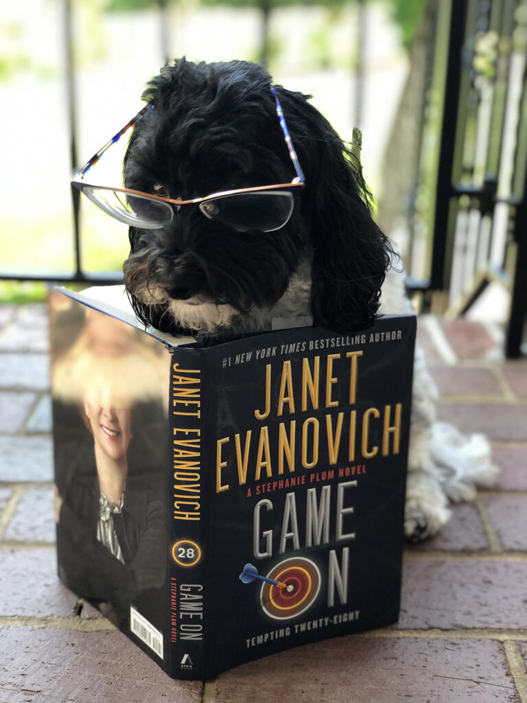 Odin the dog reading Game On